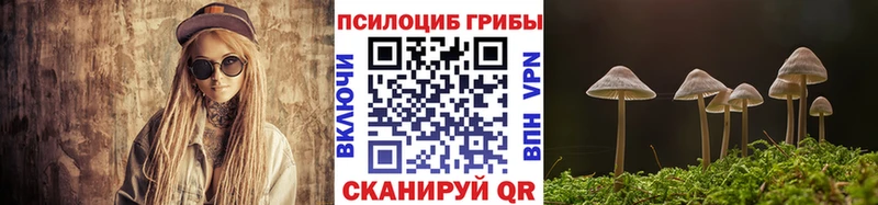 Галлюциногенные грибы MAGIC MUSHROOMS  купить наркоту  Струнино 